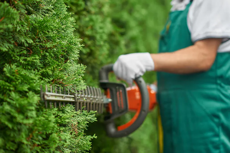 7 Things to Consider When Choosing a Commercial Landscaping Vendor