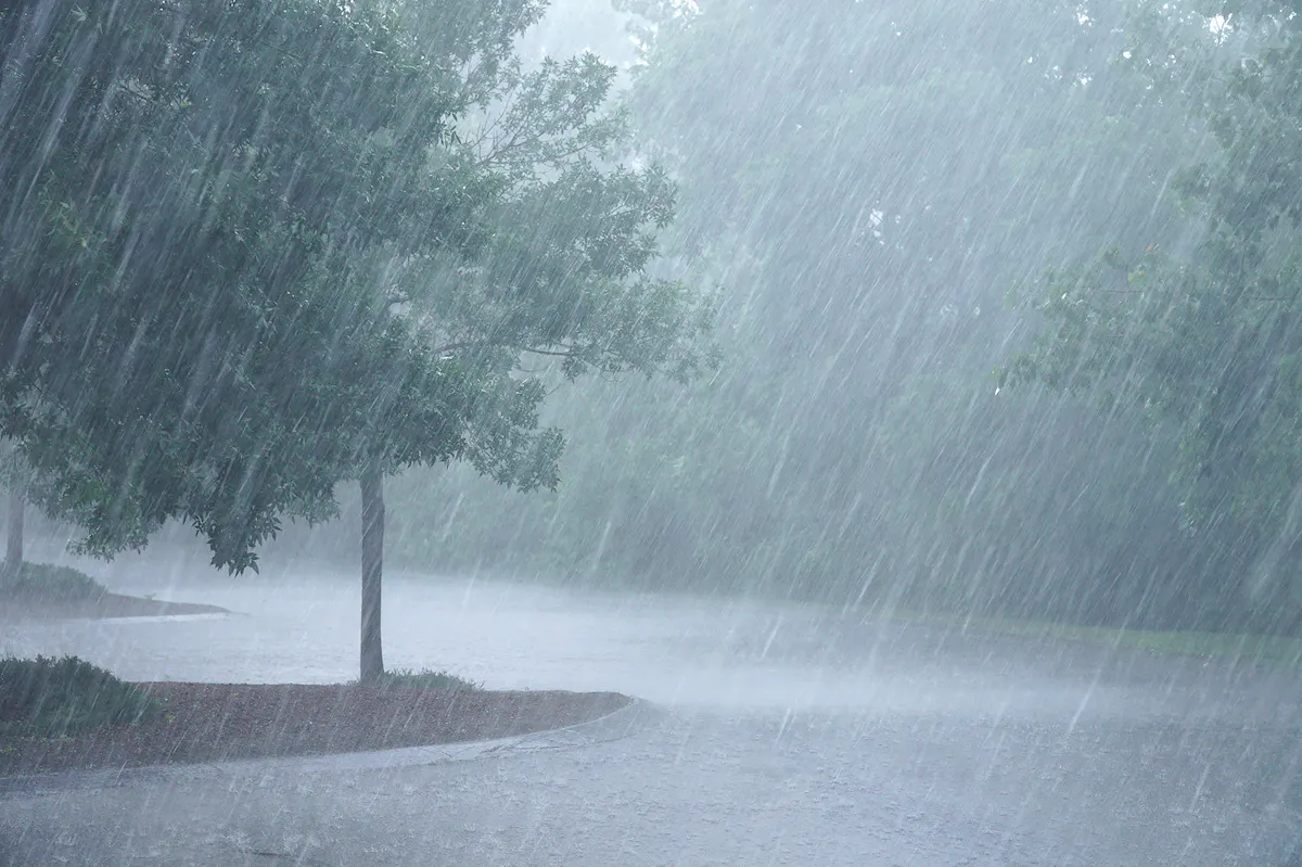 A hurricane impacts a commercial office